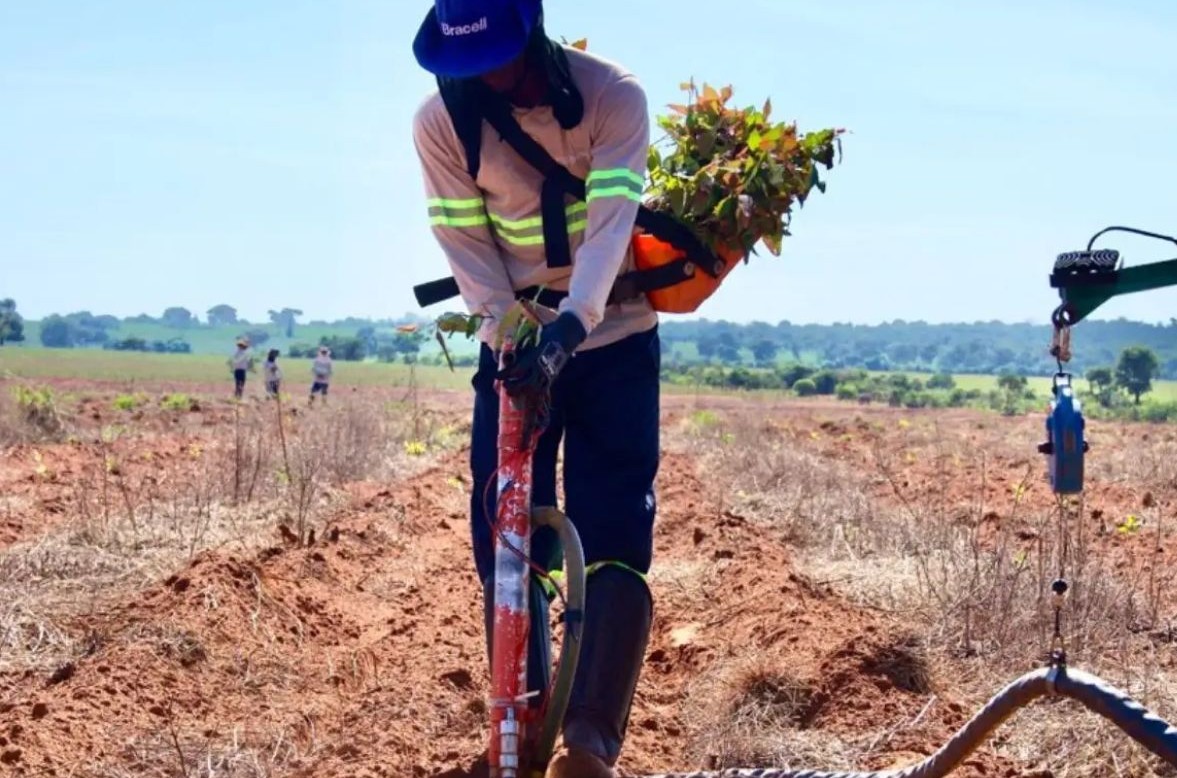 No momento, você está visualizando Empresa que produz eucalipto abre 53 vagas de emprego em MS