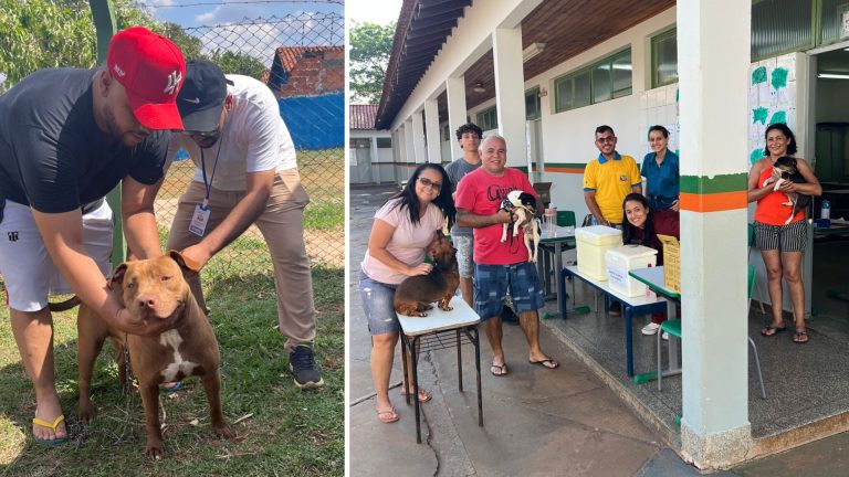 No momento, você está visualizando Naviraí realiza Dia D de Vacinação contra a Raiva e imuniza mais de 7 mil animais