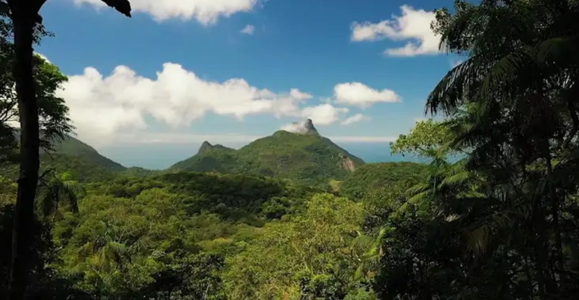 No momento, você está visualizando Brasil anuncia US$ 1 bilhão para fundo de florestas tropicais