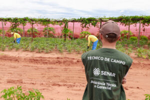 Leia mais sobre o artigo Senar-MS abre inscrições para Residência Agropecuária com bolsas de até R$ 2,5 mil
