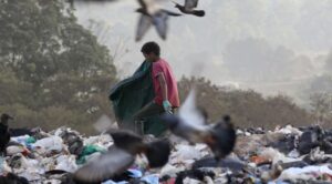 Leia mais sobre o artigo Trabalho infantil cresce e atinge 1,65 milhão de crianças e adolescentes no Brasil