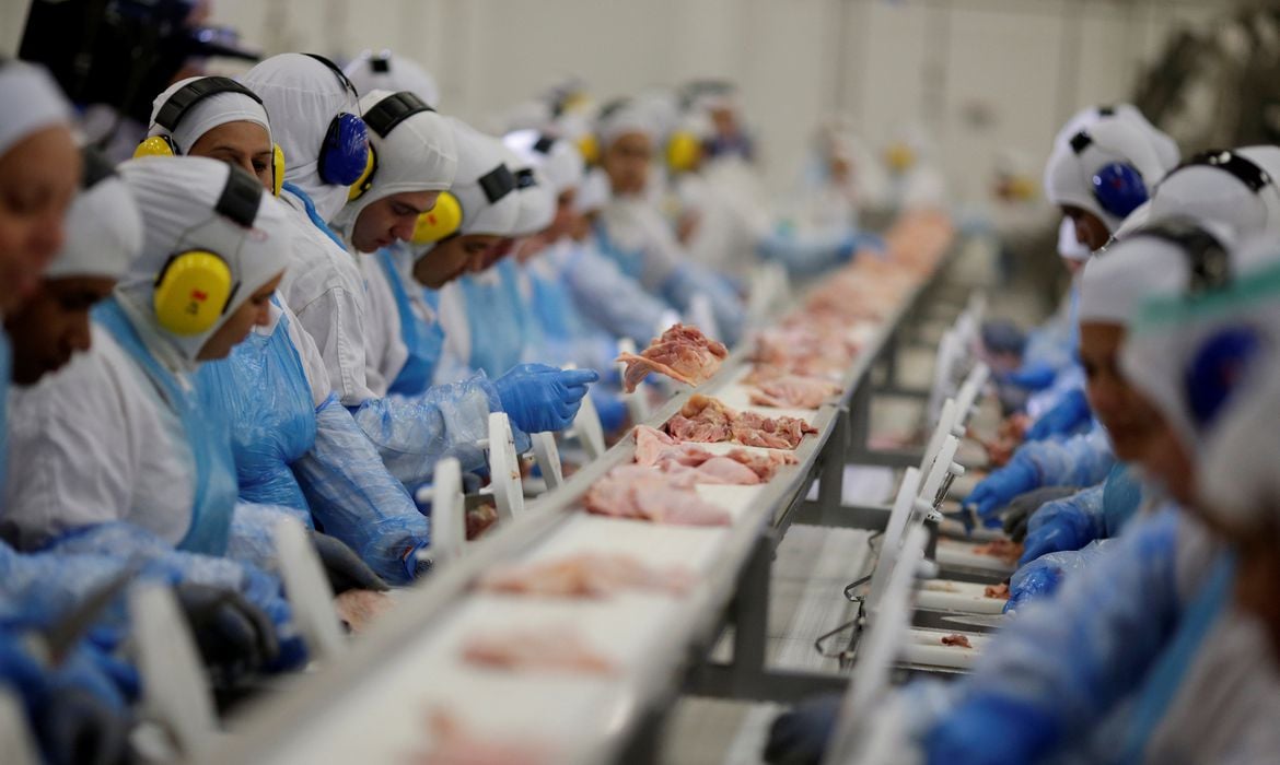 No momento, você está visualizando UE reconhece Brasil como livre de gripe aviária e retoma compras de carne de frango