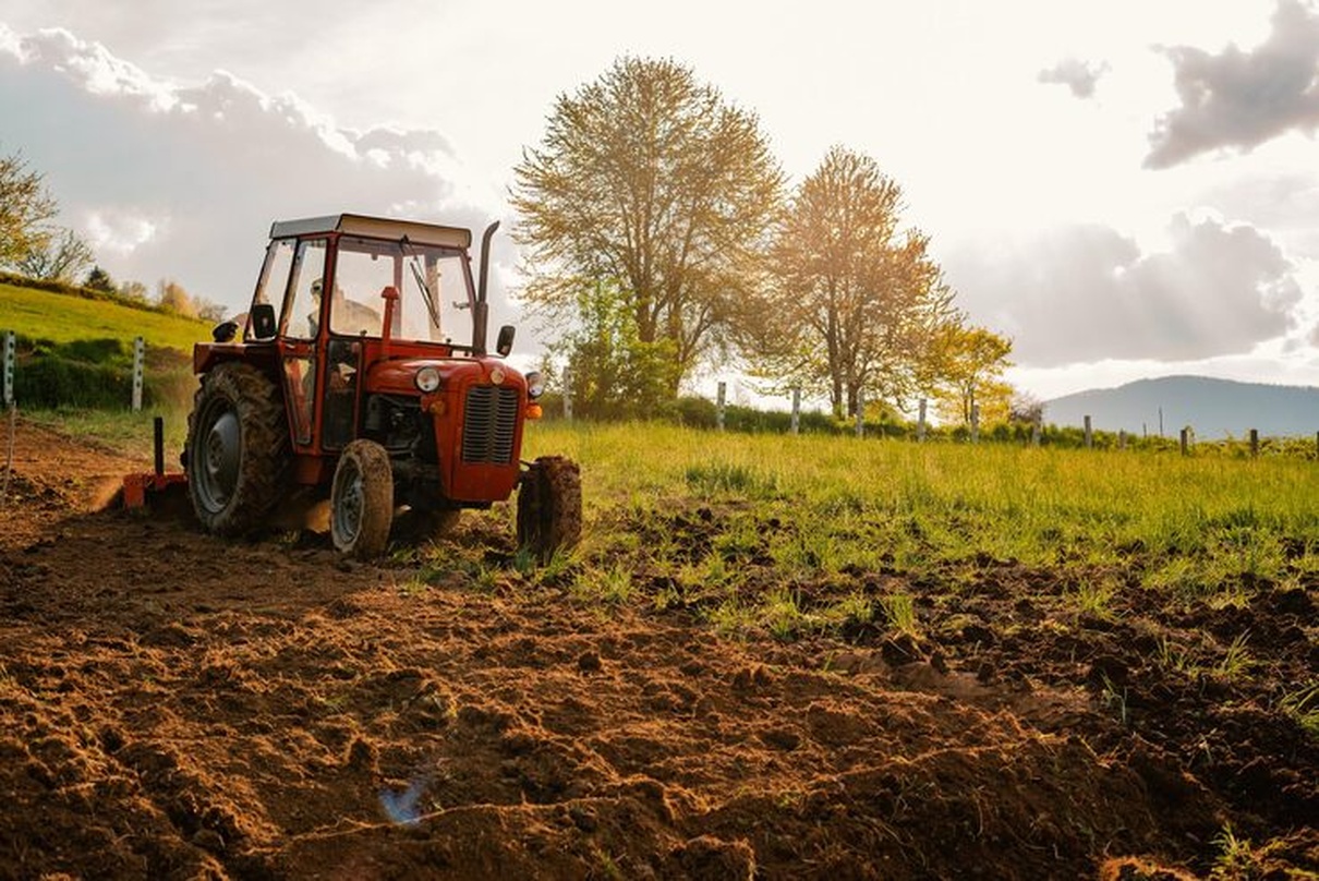 No momento, você está visualizando Valor Bruto da Produção Agropecuária cresce 11,3% e soma R$ 1,4 trilhão em 2025