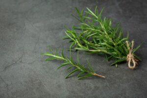 Leia mais sobre o artigo ALECRIM: Erva turbina a memória, acalma a mente e ainda fortalece o cabelo