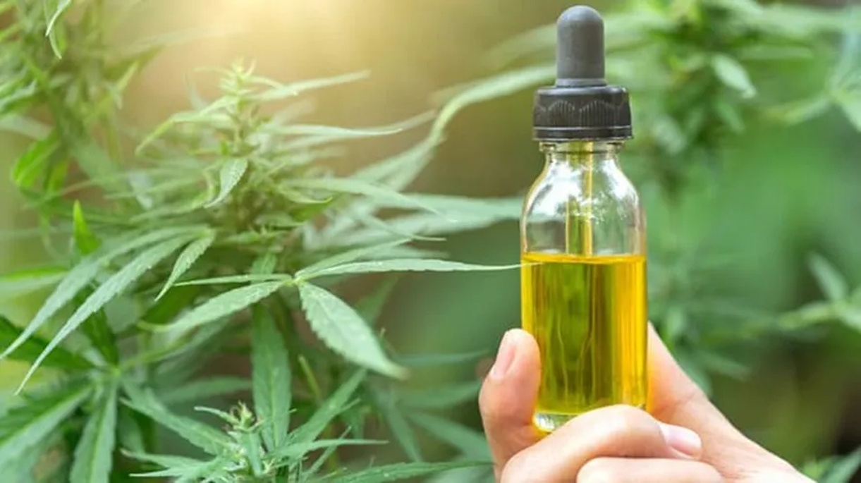No momento, você está visualizando Anvisa proíbe venda de produtos de cannabis e cogumelos
