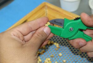 Leia mais sobre o artigo Cartilha da Aprosoja-MS ajuda produtores a evitar perdas na venda da soja