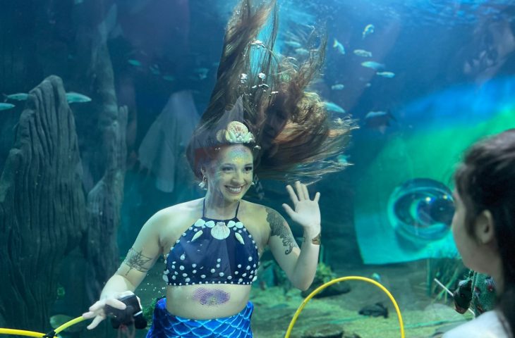 No momento, você está visualizando De passarinhada a mergulho de sereia e herói das águas; Bioparque divulga programação de sábado