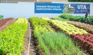 Leia mais sobre o artigo Hortifrutis doados pela Ceasa em MS matam a fome e viram adubo para a comunidade
