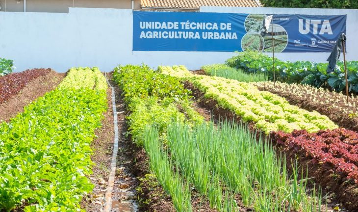 No momento, você está visualizando Hortifrutis doados pela Ceasa em MS matam a fome e viram adubo para a comunidade