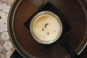 Leia mais sobre o artigo DINAMARCA: Cientistas criam iogurte com formigas para restaurante Michelin; entenda