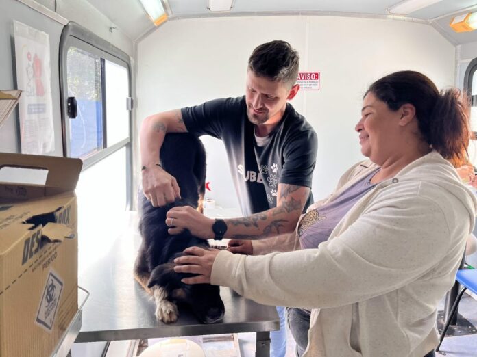 No momento, você está visualizando CONSULTAS, HOJE: Prefeitura realiza ações em outubro para bem-estar dos animais em Campo Grande