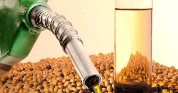 No momento, você está visualizando Cadeia da soja e do biodiesel registra recorde na safra e pode impulsionar PIB do agronegócio