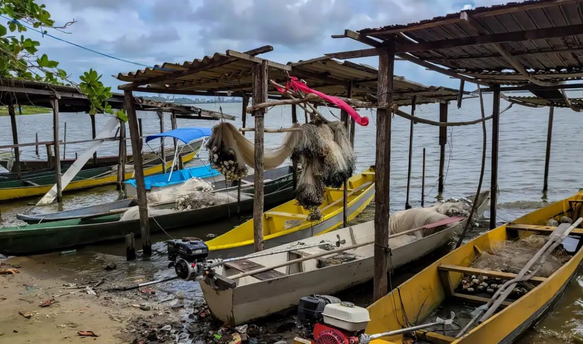 No momento, você está visualizando Início do defeso da piracema restringe pesca comercial no país