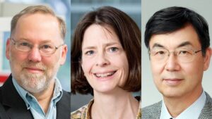 Leia mais sobre o artigo Nobel de Medicina 2025 vai para descobertas sobre ‘freio’ do sistema imune