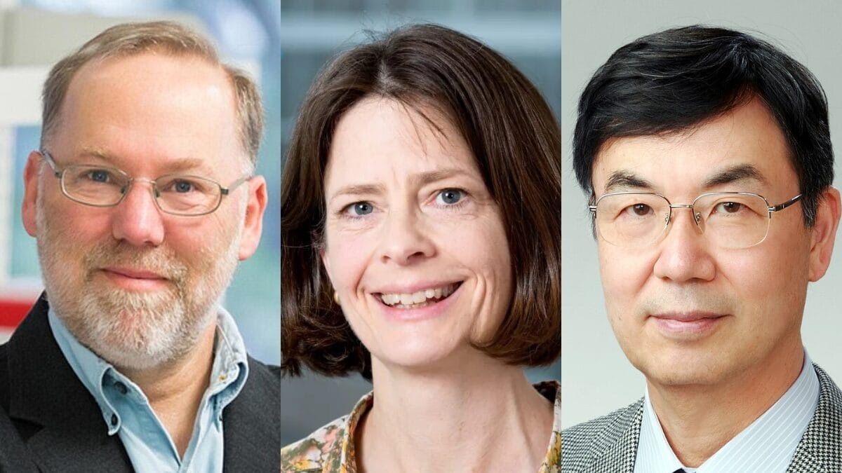 No momento, você está visualizando Nobel de Medicina 2025 vai para descobertas sobre ‘freio’ do sistema imune