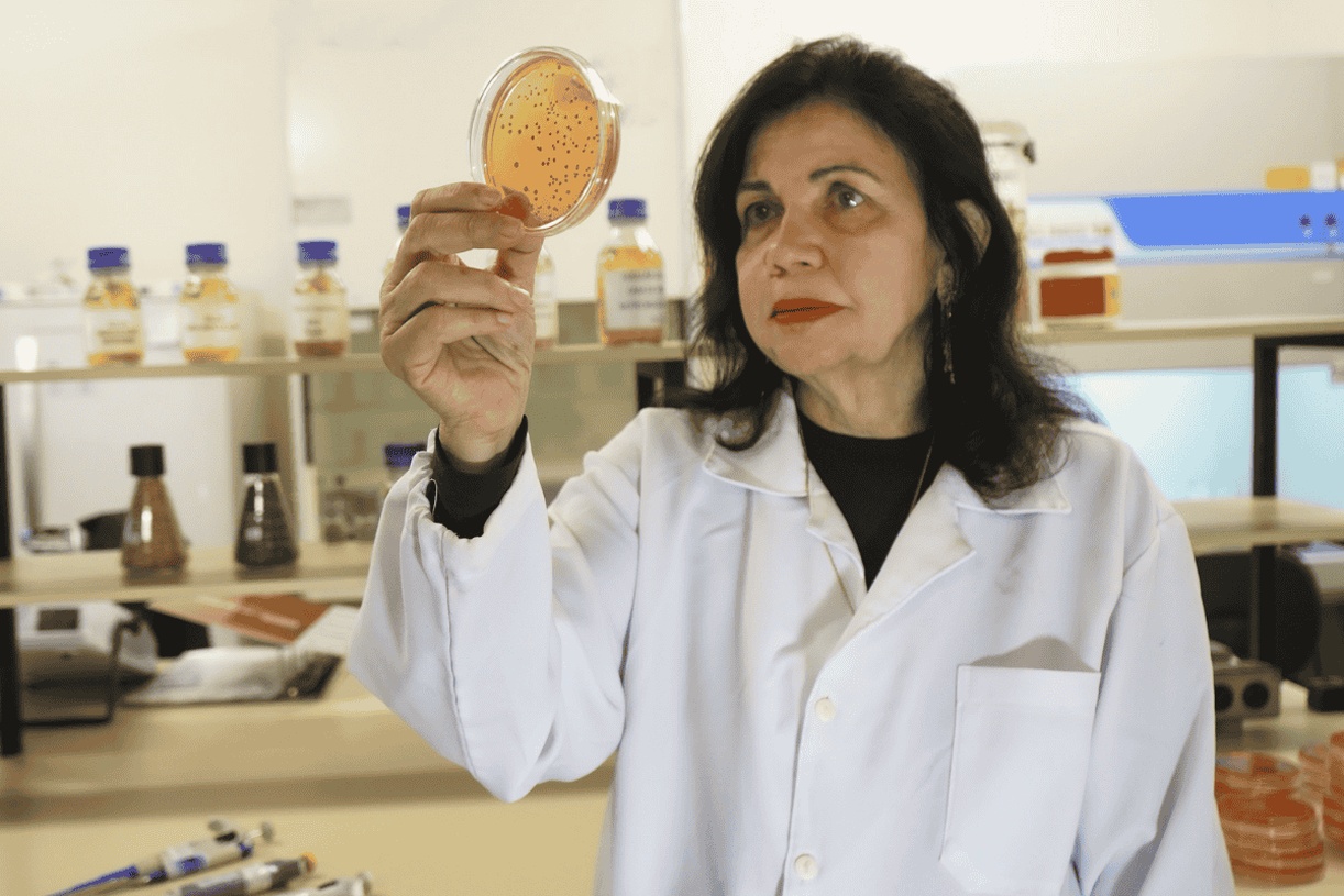 No momento, você está visualizando Pesquisadora da Embrapa recebe o ‘Nobel da Agricultura’ nesta semana