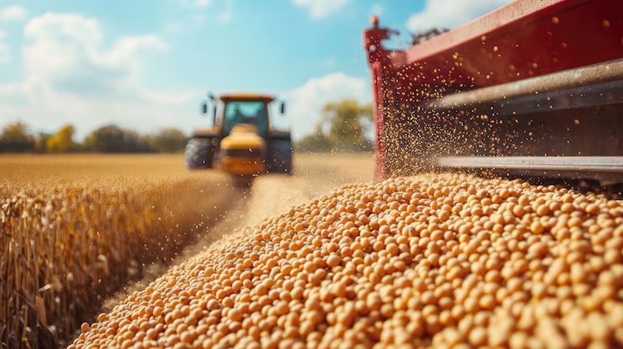 No momento, você está visualizando Safra recorde de grãos impulsiona demanda por seguros agrícolas e amplia desafios logísticos