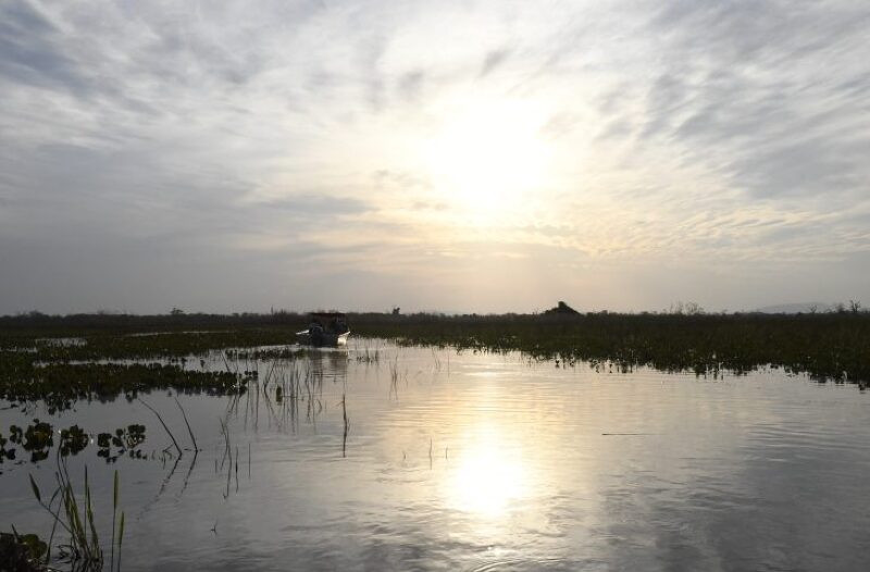 No momento, você está visualizando Sol predomina, mas sul do Mato Grosso do Sul pode ter chuvas isoladas