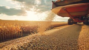 Leia mais sobre o artigo Anec eleva projeções de exportação de soja, milho e farelo em novembro