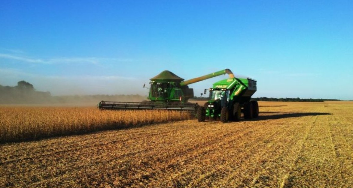No momento, você está visualizando Demanda global por energia pode impulsionar soja, avalia ministério