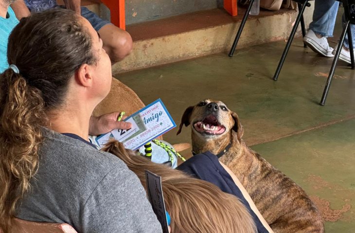No momento, você está visualizando Com 1,6 mil serviços agendados, Governo de MS inicia atendimentos da Caravana da Castração em Dourados