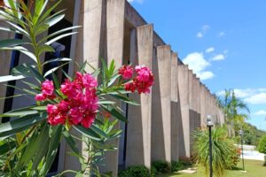 Leia mais sobre o artigo AGENDA ALEMS: Destaque da semana é lançamento do cronograma de emendas parlamentares 2026