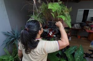 Leia mais sobre o artigo CONTRA O MOSQUITO: Mato Grosso do Sul realiza ‘Dia D’de Combate à Dengue, 13/10