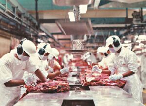 Leia mais sobre o artigo Exportações de carne de MS disparam e “driblam” tarifaço dos EUA