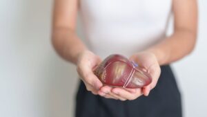 Leia mais sobre o artigo EUA: Inteligência artificial reduz em 60% cancelamentos e transforma o transplante de órgão