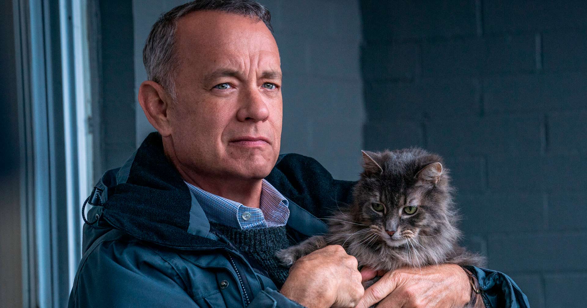 No momento, você está visualizando O PIOR VIZINHO DO MUNDO: Comédia dramática com Tom Hanks na Netflix