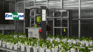 Leia mais sobre o artigo Novo robô da Embrapa com inteligência artificial revoluciona o diagnóstico de doenças no campo com 80% de acerto
