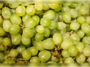 Leia mais sobre o artigo ANO NOVO: Entenda por que se comem uvas na celebração da virada do ano