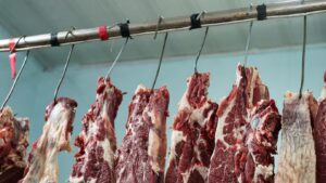 Leia mais sobre o artigo Brasil supera os EUA e torna-se o maior produtor de carne bovina do mundo pela 1ª vez na história