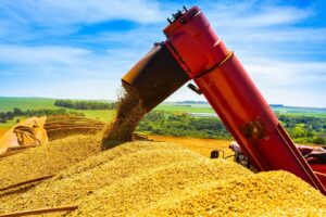 Leia mais sobre o artigo Conab revisa para baixo estimativa para a safra de grãos, mas mantém projeção de recorde