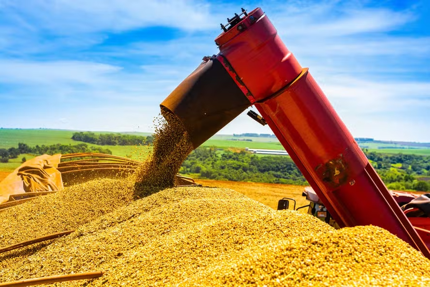 No momento, você está visualizando Conab revisa para baixo estimativa para a safra de grãos, mas mantém projeção de recorde