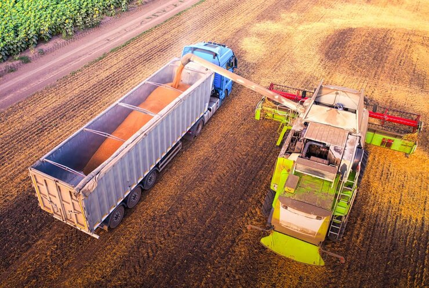 No momento, você está visualizando Embrapa Territorial lança curso gratuito de logística agropecuária