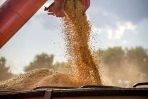 Leia mais sobre o artigo Exportações de soja sobem para 3,33 milhões de toneladas