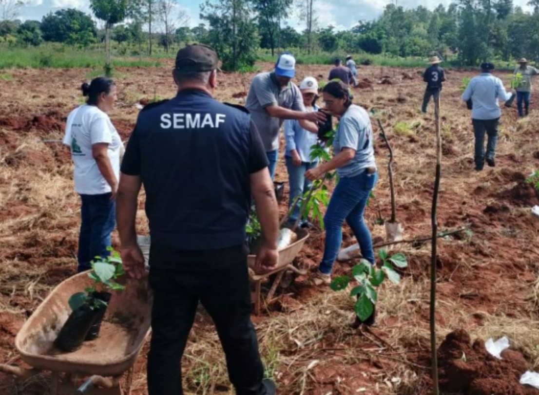 No momento, você está visualizando Prefeitura de Dourados transforma o campo, fortalece feiras e impulsiona a agricultura familiar em 11 meses