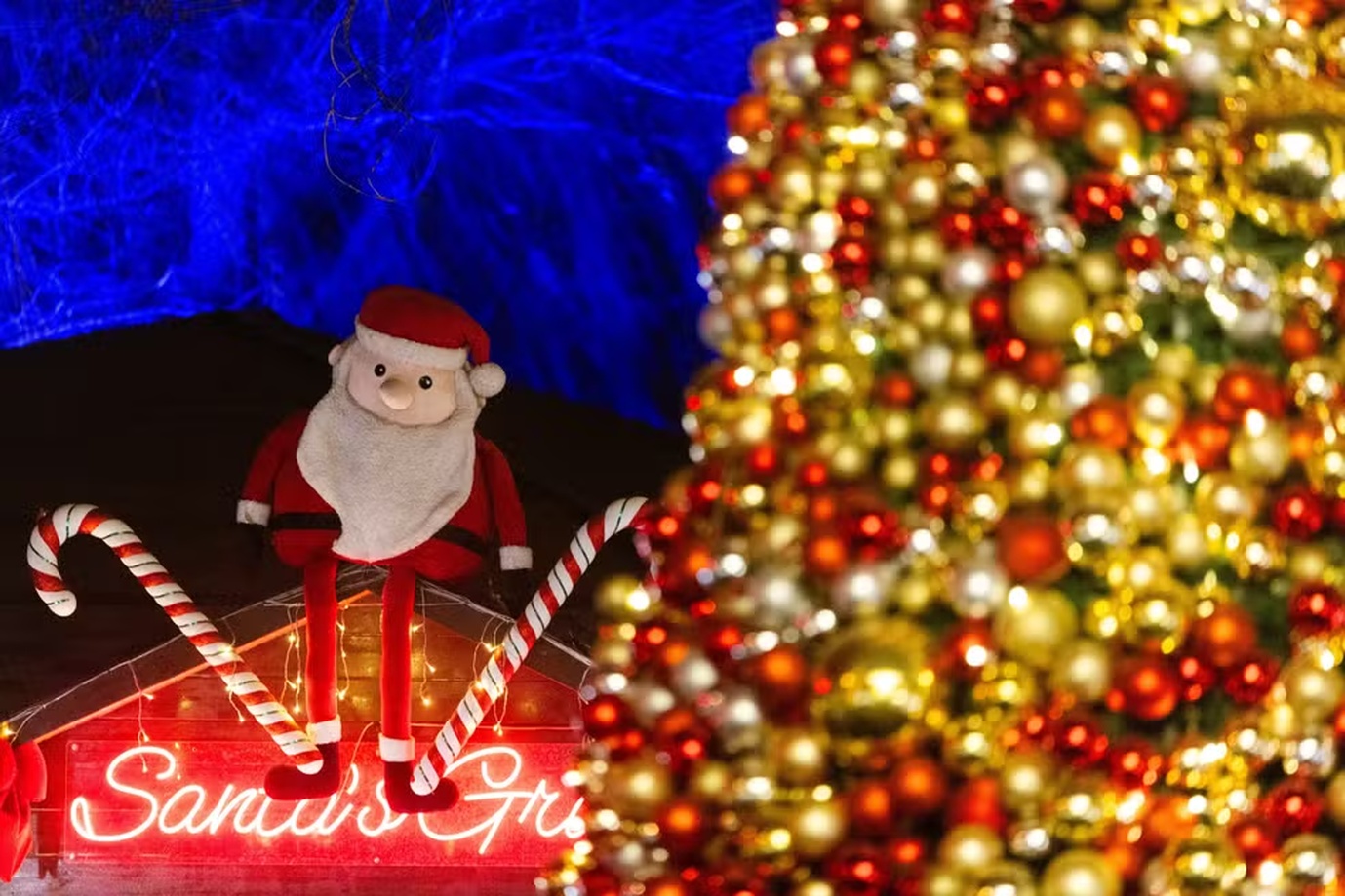 No momento, você está visualizando NATAL: Veja como a data se tornou uma festa mundial