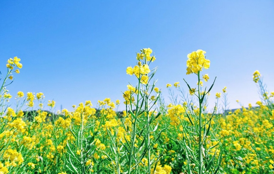 No momento, você está visualizando Campo Grande deve ter um dia ensolarado nesta quarta-feira (21)