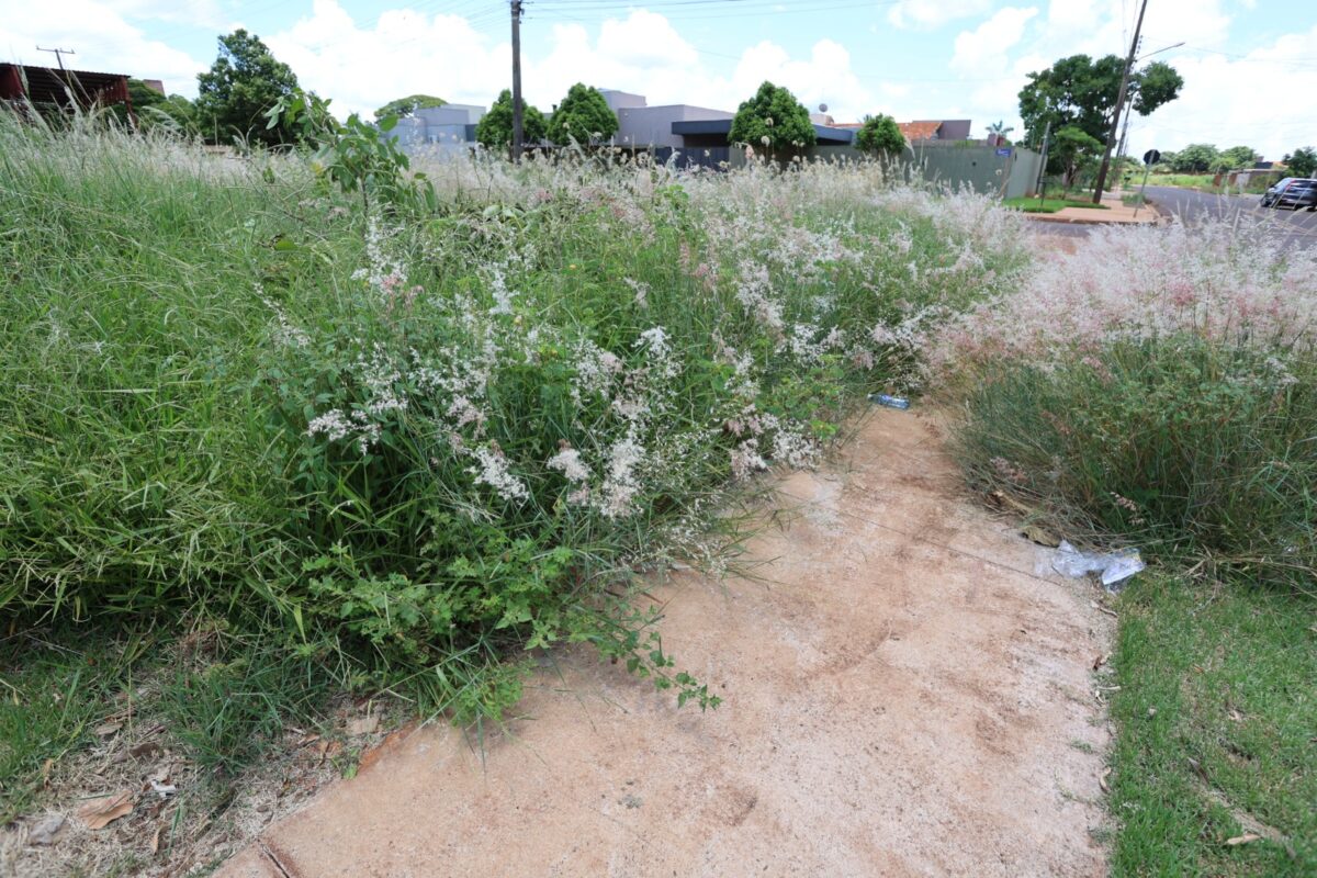 No momento, você está visualizando Prefeitura de Dourados alerta que prazo para roçada e limpeza de terrenos baldios está correndo