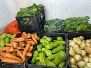 Leia mais sobre o artigo Prefeitura de Dourados lança edital para compra de alimentos da agricultura familiar para a merenda escolar