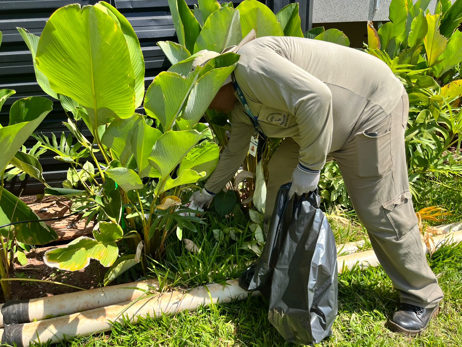 No momento, você está visualizando MS se antecipa, alinha estratégias com municípios e reforça controle do Aedes aegypti para 2026
