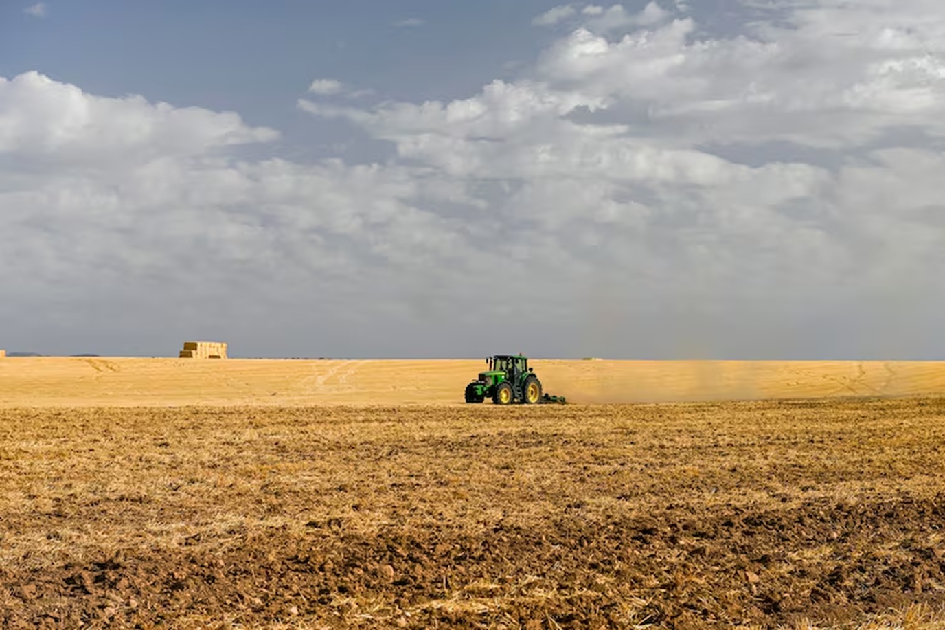 No momento, você está visualizando IBGE prevê safra recorde de 346 milhões de toneladas em 2025