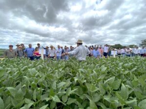Leia mais sobre o artigo Fundação MS apresenta os principais trabalhos de pesquisa no Dia de Campo Safra 2025/2026