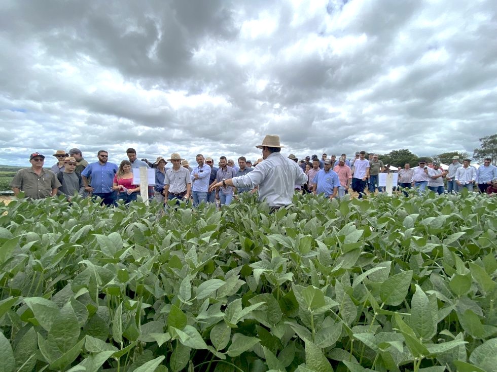 No momento, você está visualizando Fundação MS apresenta os principais trabalhos de pesquisa no Dia de Campo Safra 2025/2026