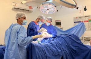 Leia mais sobre o artigo Programa Cinturão Ortopédico da SES MS registra quase 2 mil atendimentos de urgência em sete meses