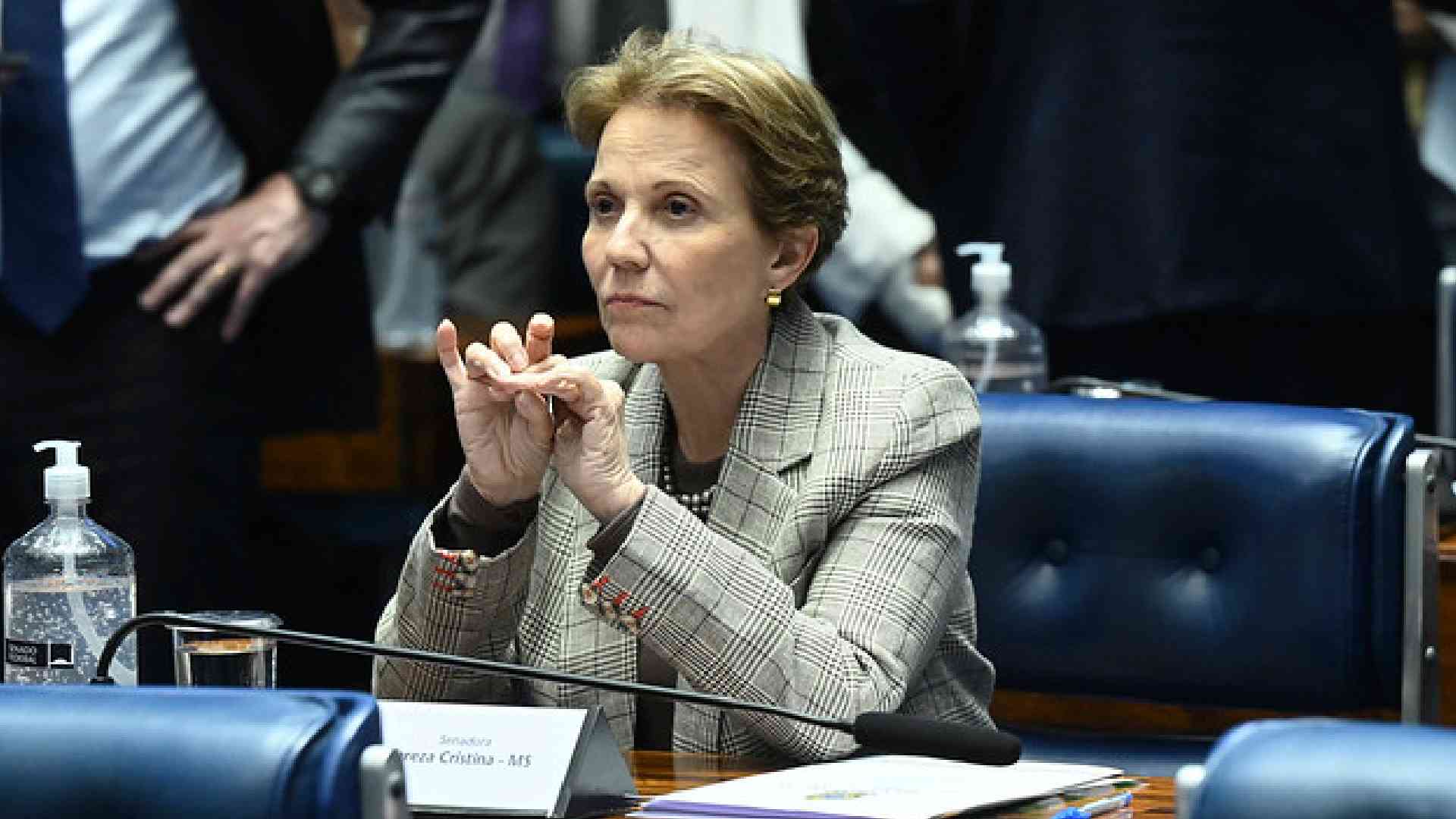 No momento, você está visualizando Tereza critica veto de Lula ao projeto de terras de fronteira e irá focar na derrubada no Congresso