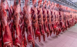 Leia mais sobre o artigo Vietnã habilita mais quatro frigoríficos brasileiros para exportar carne bovina