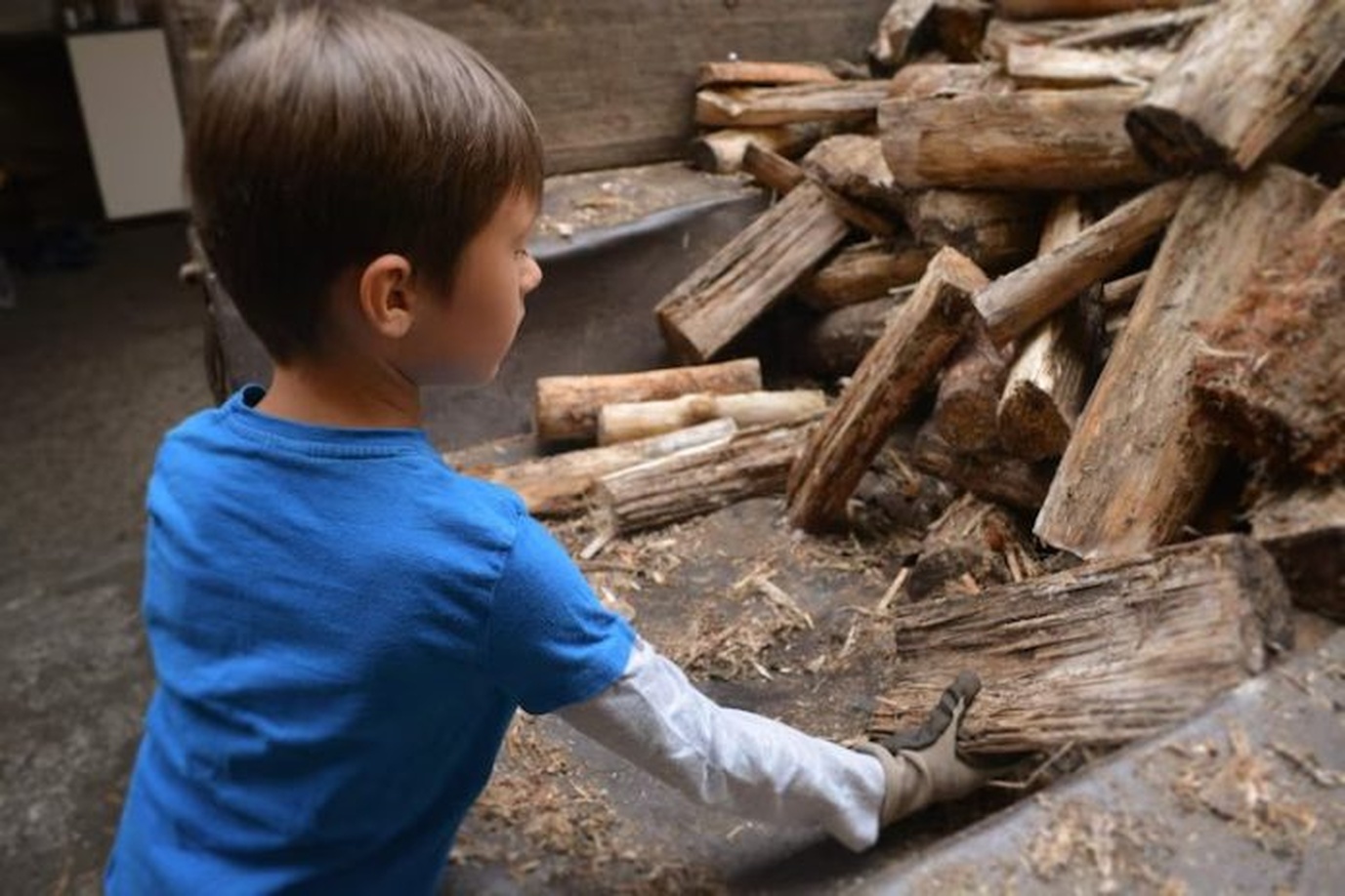 No momento, você está visualizando Brasil registra 1,6 milhão de casos de trabalho infantil, mas menos de 1% foi alcançado pela fiscalização